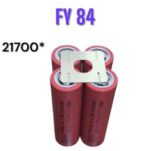 FY84 Şekilli Nikel (10gr)
