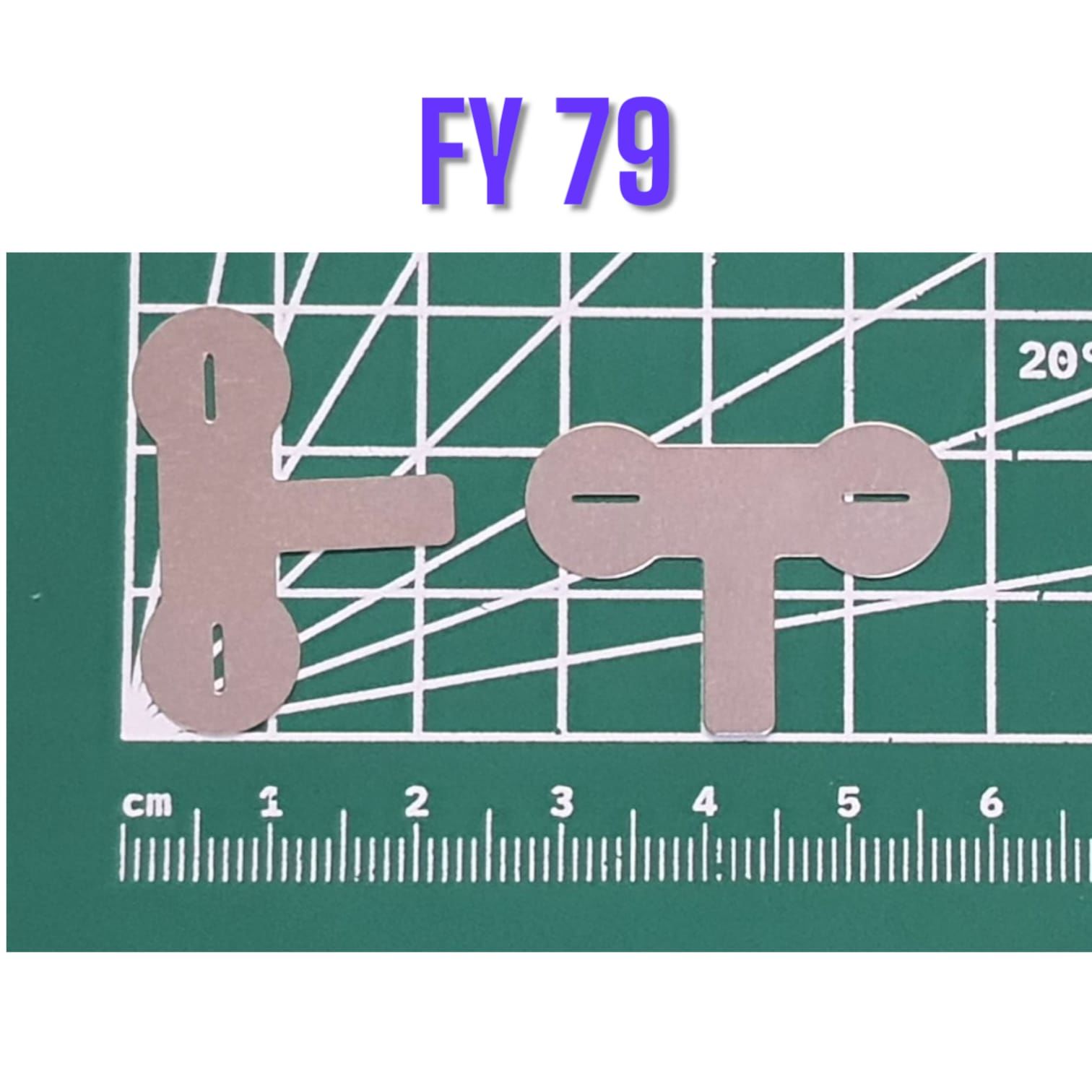 FY79 Şekilli Nikel (10gr)