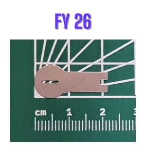FY26 Şekilli Nikel (10gr)