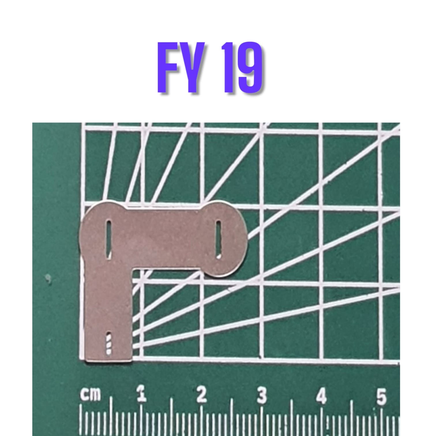 FY19 Şekilli Nikel (10gr)
