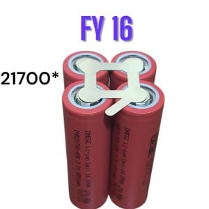 FY16 Şekilli Nikel (10gr)