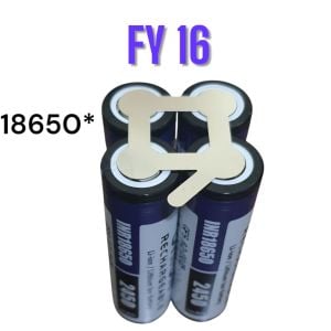 FY16 Şekilli Nikel (10gr)