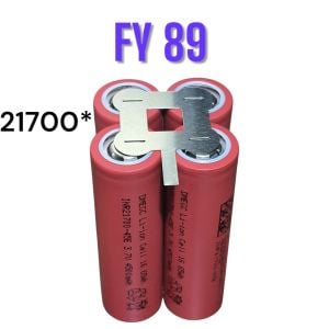 FY89 Şekilli Nikel (10gr)