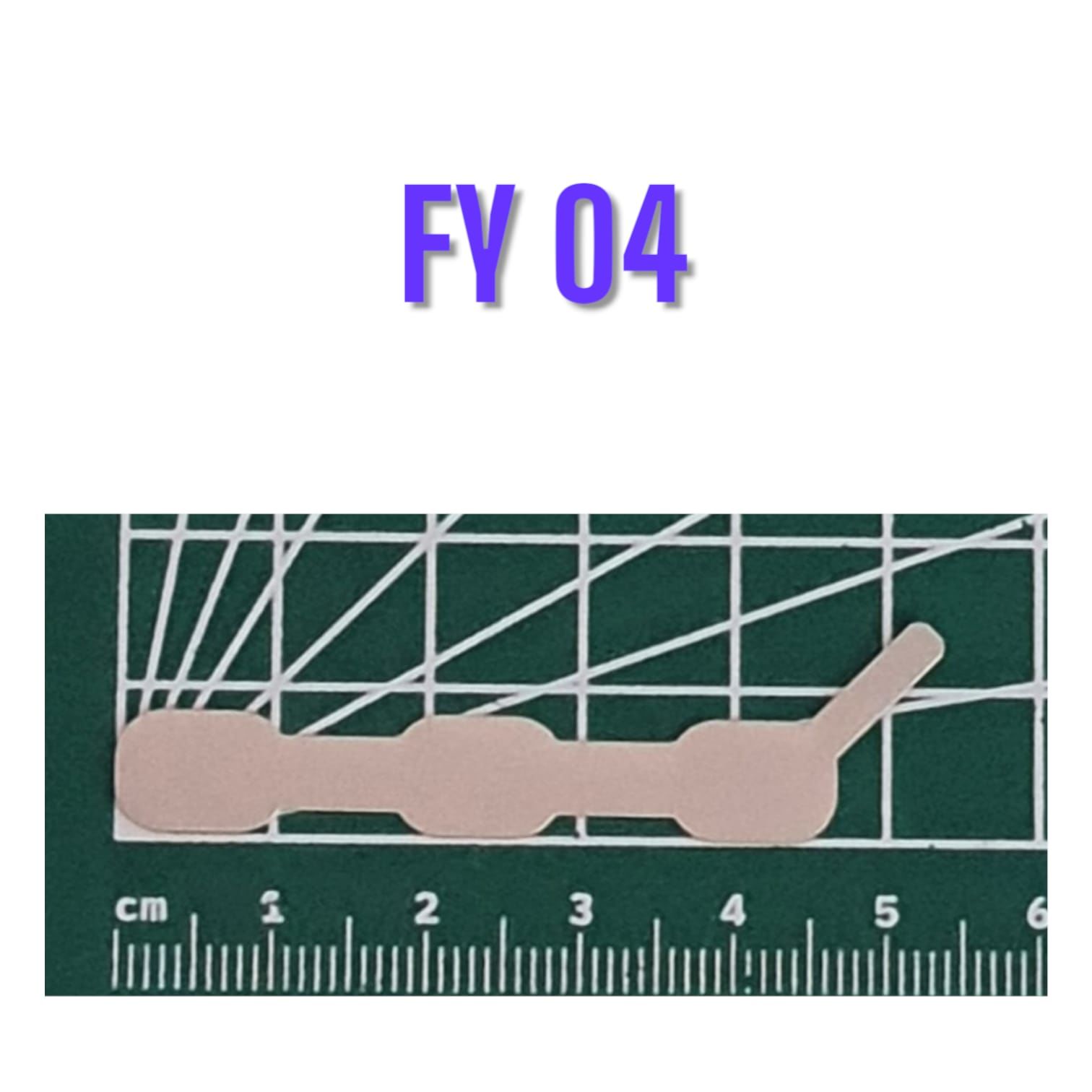 FY04 Şekilli Nikel (10gr)