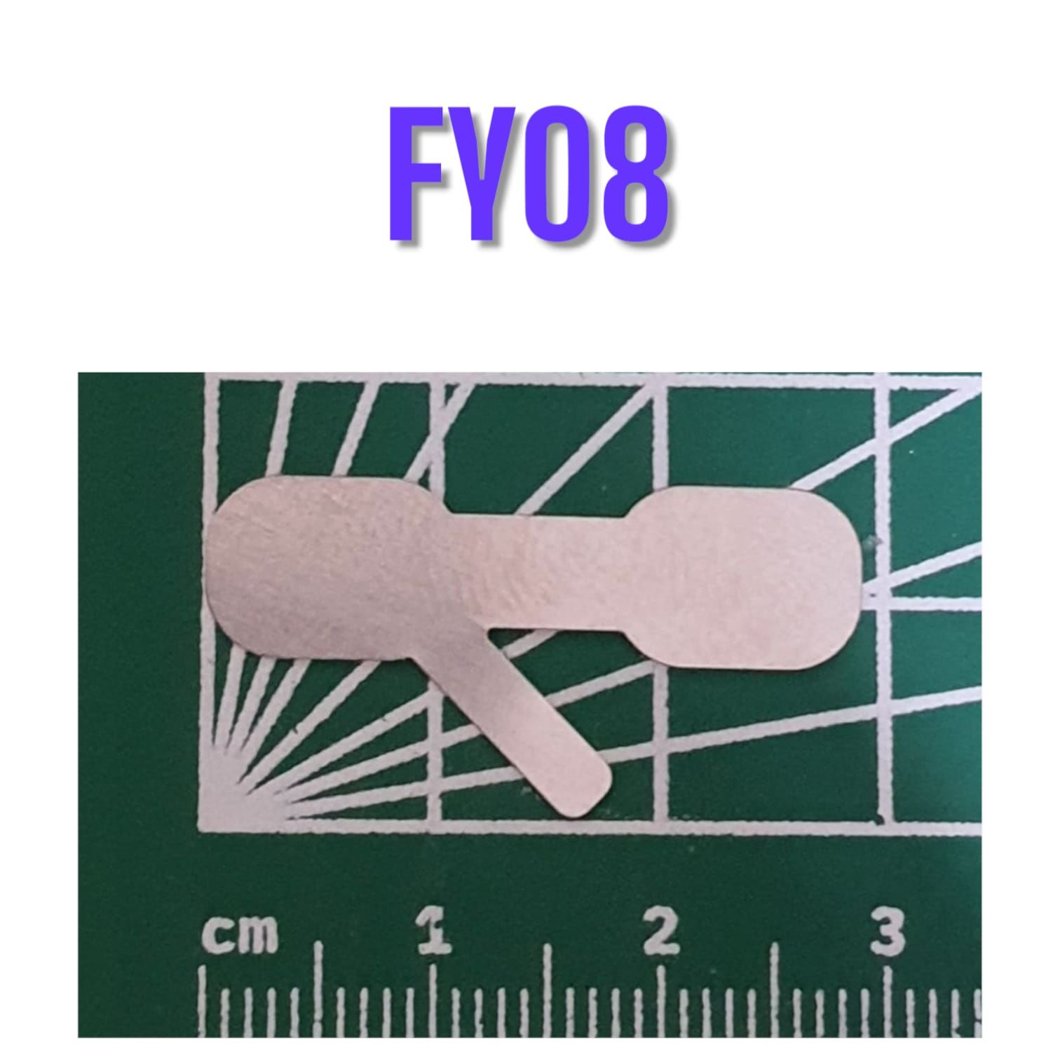 FY08 Şekilli Nikel (10gr)